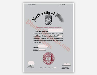 University of Delhi - Fake Diploma Sample from India